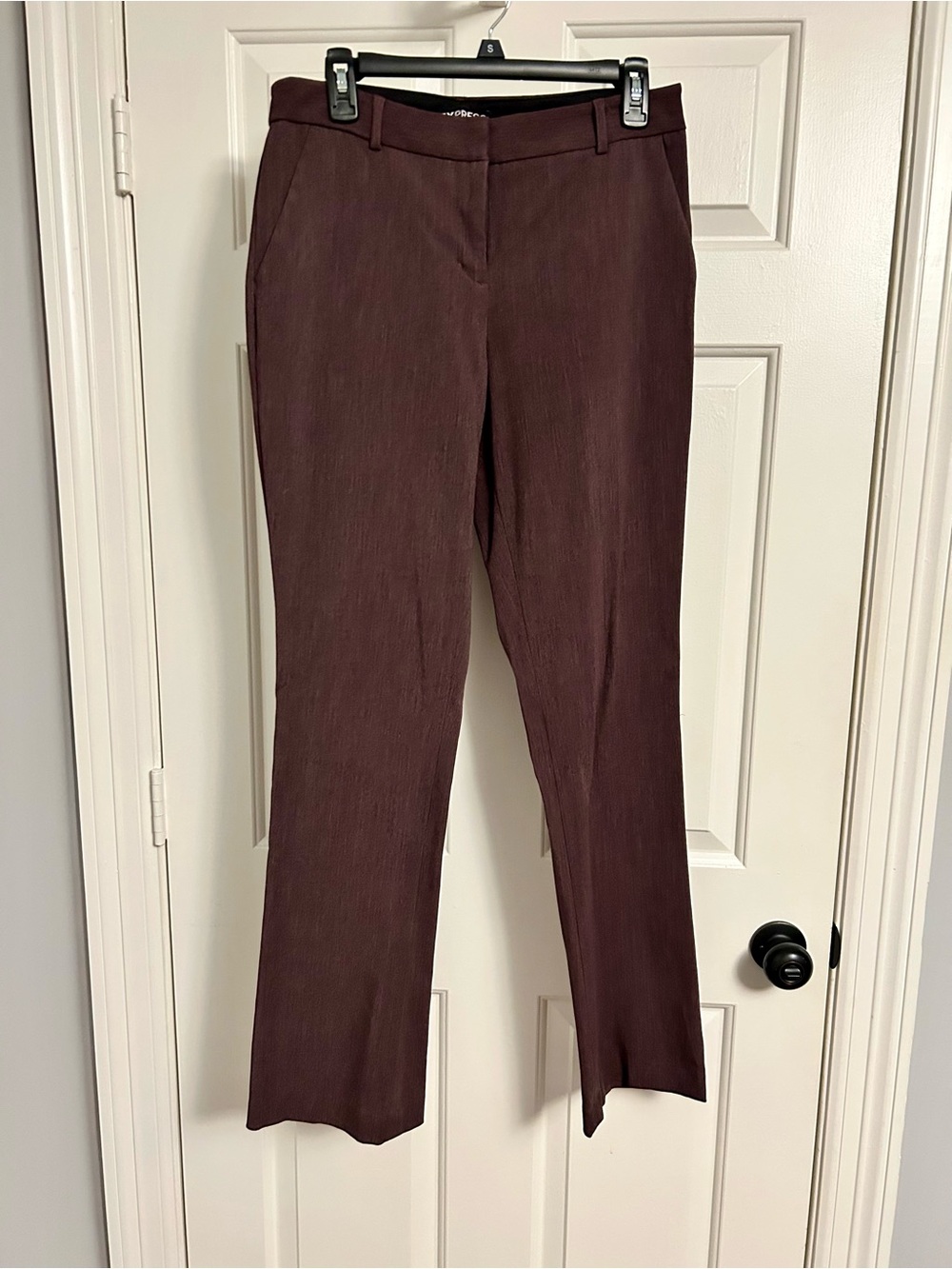 Express Columnist Pants